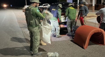 Multas por pesca ilegal no Araguaia passam de R$ 209 mil